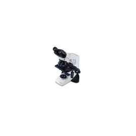 9135002 - Microscopio Binocular Cxl Halogeno Labomed