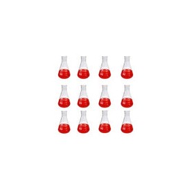 112112-100 - Matraz Erlenmeyer 100 Ml Vidrio Paq C/12 Jf Lhabo