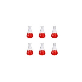 11216-100 - Matraz Erlenmeyer 100 Ml Vidrio Paq C/6 Jf Lhabo