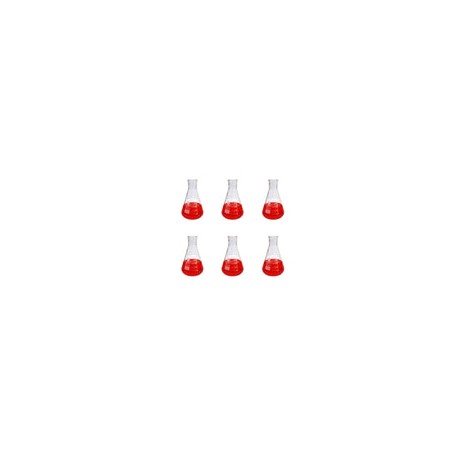 11216-100 - Matraz Erlenmeyer 100 Ml Vidrio Paq C/6 Jf Lhabo