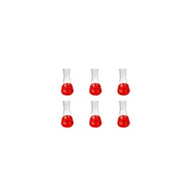 11216-50 - Matraz Erlenmeyer 50 Ml Vidrio Paq C/6 Jf Lhabo