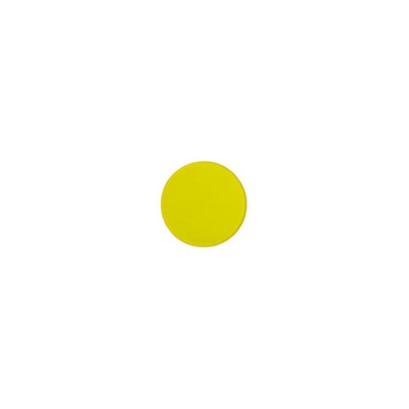 FAMLJFL - Filtro Amarillo para Microscopio 32mm Liso Jf Lhabo
